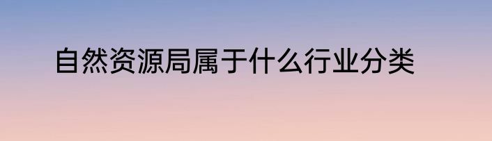 自然资源局属于什么行业分类