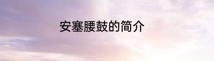 安塞腰鼓的简介