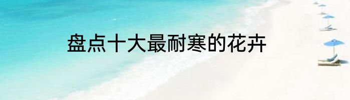 盘点十大最耐寒的花卉