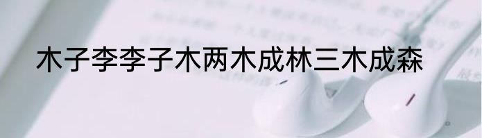 木子李李子木两木成林三木成森