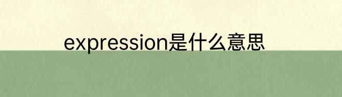 expression是什么意思