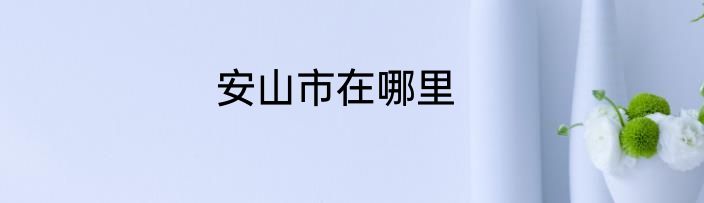 安山市在哪里