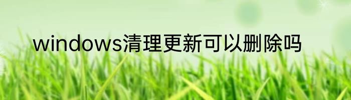 windows清理更新可以删除吗