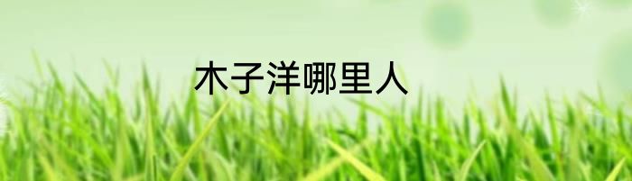 木子洋哪里人