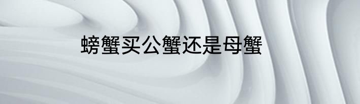 螃蟹买公蟹还是母蟹