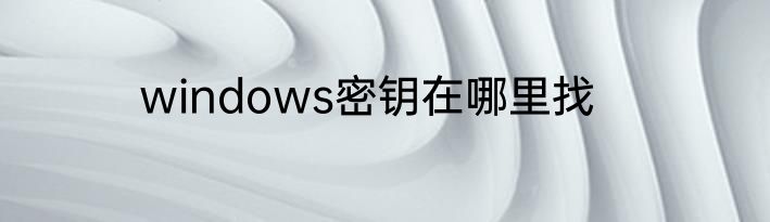 windows密钥在哪里找