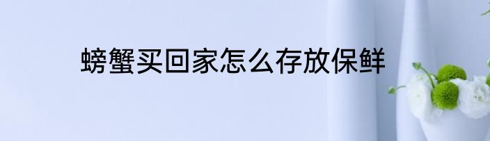 螃蟹买回家怎么存放保鲜