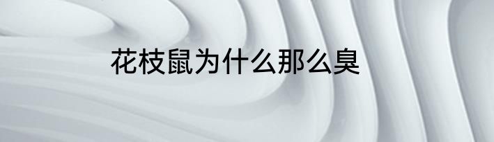花枝鼠为什么那么臭