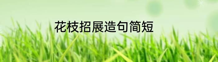 花枝招展造句简短