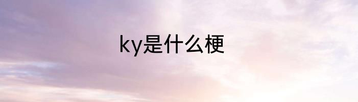 ky是什么梗