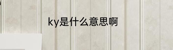 ky是什么意思啊