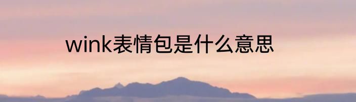 wink表情包是什么意思