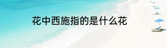 花中西施指的是什么花