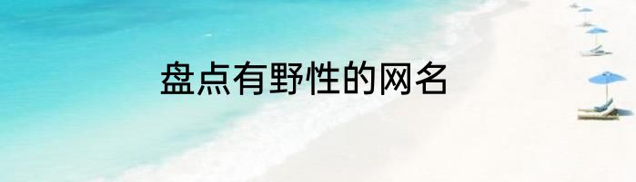盘点有野性的网名