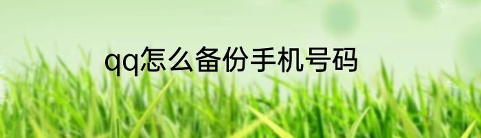 qq怎么备份手机号码