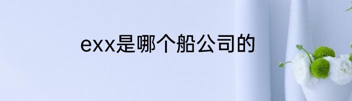 exx是哪个船公司的