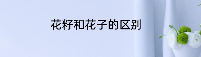 花籽和花子的区别