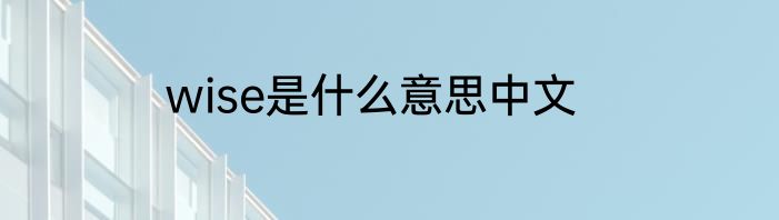 wise是什么意思中文