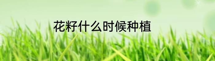 花籽什么时候种植