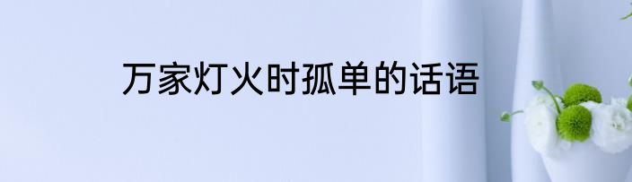 万家灯火时孤单的话语