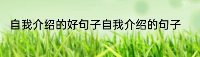 自我介绍的好句子自我介绍的句子