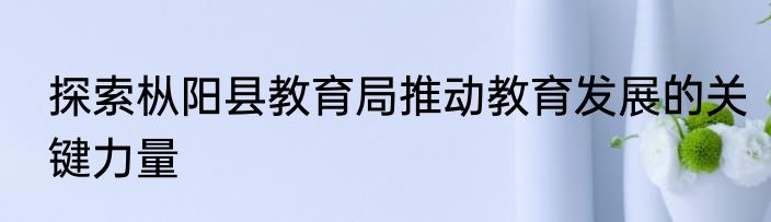 探索枞阳县教育局推动教育发展的关键力量