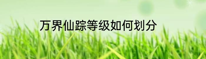 万界仙踪等级如何划分