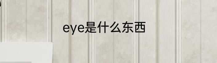 eye是什么东西
