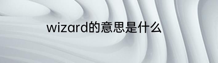 wizard的意思是什么