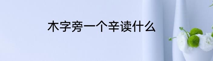 木字旁一个辛读什么