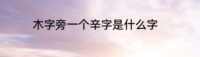 木字旁一个辛字是什么字