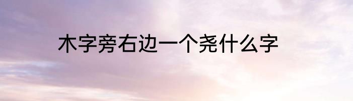 木字旁右边一个尧什么字