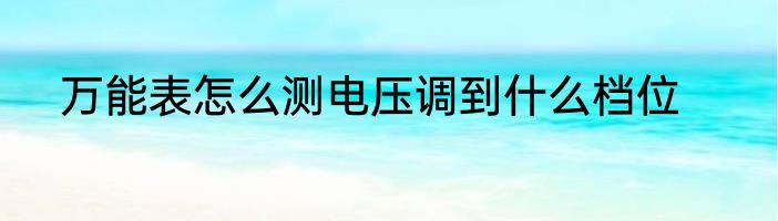 万能表怎么测电压调到什么档位