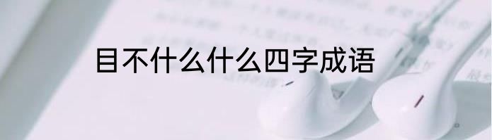 目不什么什么四字成语