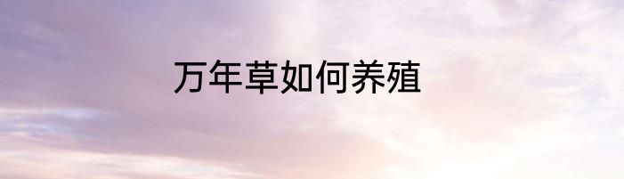 万年草如何养殖