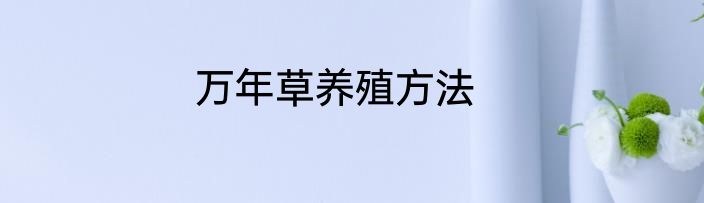 万年草养殖方法