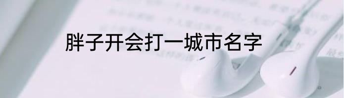 胖子开会打一城市名字