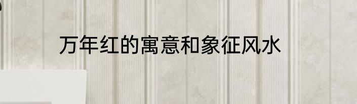 万年红的寓意和象征风水