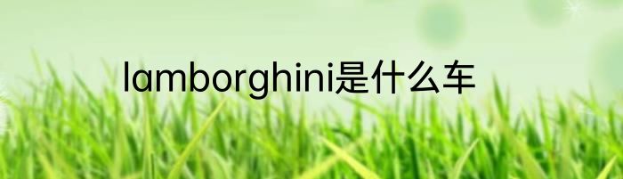 lamborghini是什么车