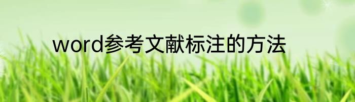 word参考文献标注的方法