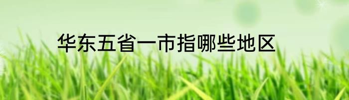 华东五省一市指哪些地区