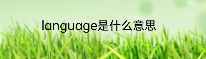language是什么意思