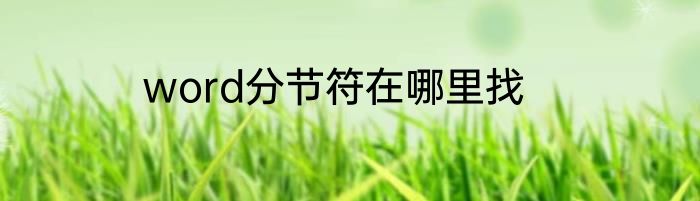 word分节符在哪里找