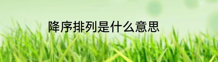 降序排列是什么意思