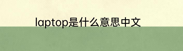 laptop是什么意思中文
