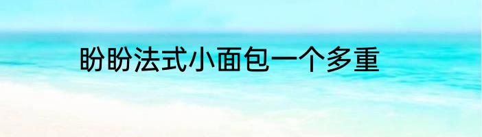 盼盼法式小面包一个多重