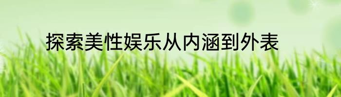 探索美性娱乐从内涵到外表