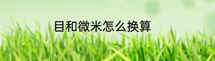 目和微米怎么换算