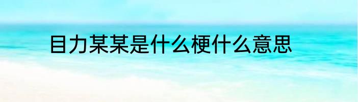 目力某某是什么梗什么意思