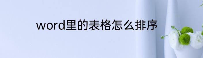 word里的表格怎么排序